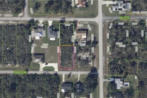 Terreno en venta en Lake Placid, Florida № 2158574 - foto 3
