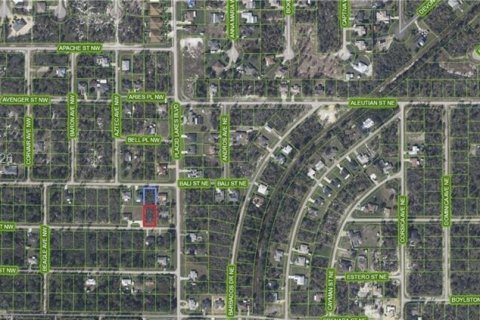 Terreno en venta en Lake Placid, Florida № 2158574 - foto 6