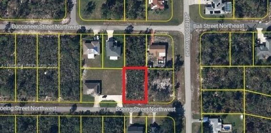 Terreno en Lake Placid, Florida № 2158574