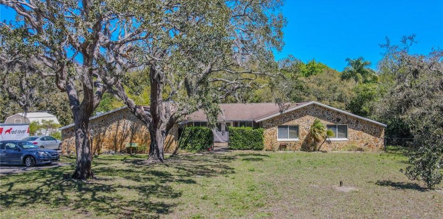 House in Port Richey, Florida 4 bedrooms, 364.18 sq.m. № 1583488