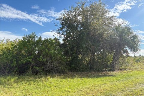 Land in Port Charlotte, Florida № 2166098 - photo 4