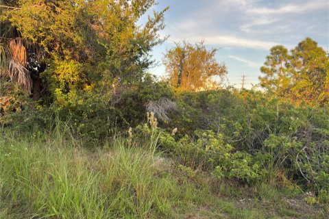 Land in Port Charlotte, Florida № 2166098 - photo 5