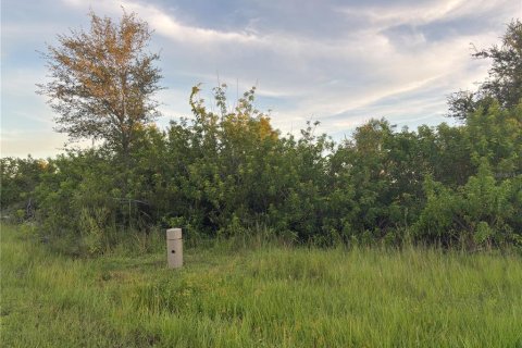 Land in Port Charlotte, Florida № 2166098 - photo 2