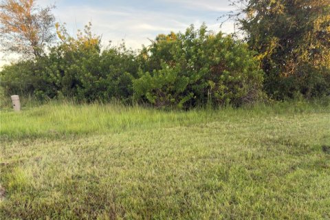 Land in Port Charlotte, Florida № 2166098