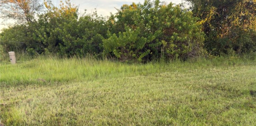 Land in Port Charlotte, Florida № 2166098