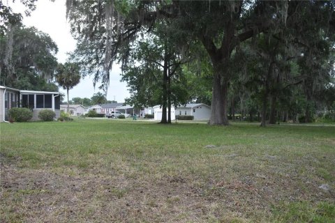 Land in Wildwood, Florida № 2277243