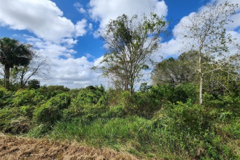 Land in Clewiston, Florida № 1836417 - photo 5