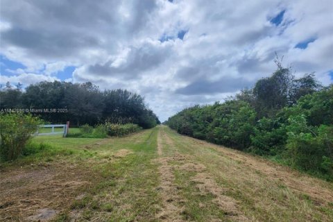 Land in Clewiston, Florida № 1836417 - photo 4