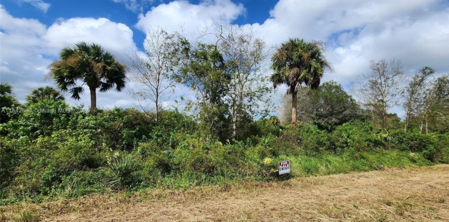 Land in Clewiston, Florida № 1836417