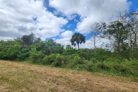 Land in Clewiston, Florida № 1836417 - photo 3