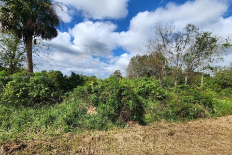 Land in Clewiston, Florida № 1836417 - photo 18