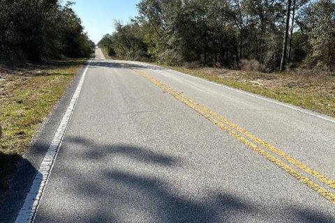 Купить земельный участок в Даннеллон, Флорида № 2165224 - фото 3