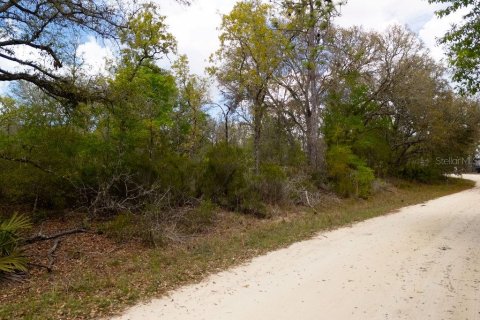 Land in Bronson, Florida № 2163671 - photo 14