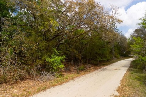 Land in Bronson, Florida № 2163671 - photo 12