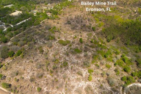 Land in Bronson, Florida № 2163671 - photo 22