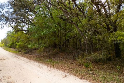 Land in Bronson, Florida № 2163671 - photo 15