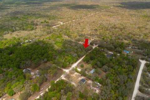 Land in Bronson, Florida № 2163671 - photo 23
