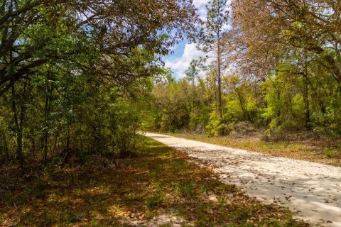 Land in Bronson, Florida № 2163671 - photo 8