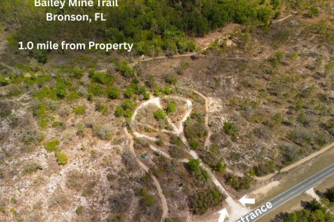 Land in Bronson, Florida № 2163671 - photo 20