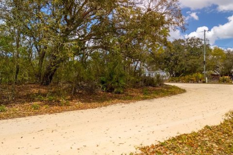 Land in Bronson, Florida № 2163671 - photo 7