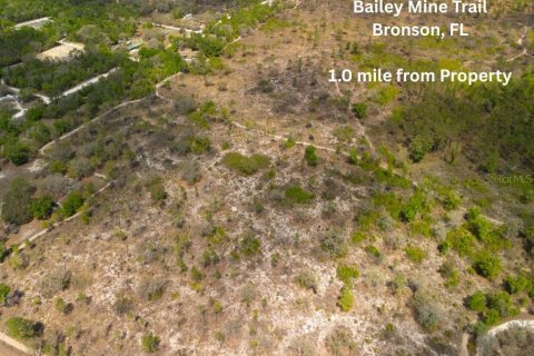 Land in Bronson, Florida № 2163671 - photo 21