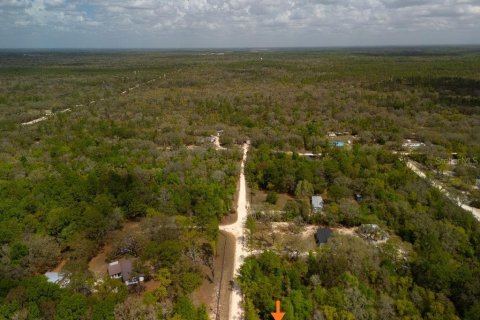 Land in Bronson, Florida № 2163671 - photo 25