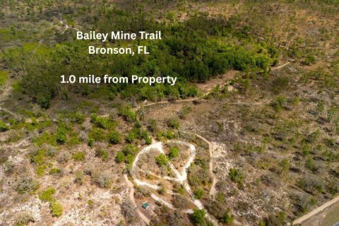Land in Bronson, Florida № 2163671 - photo 19