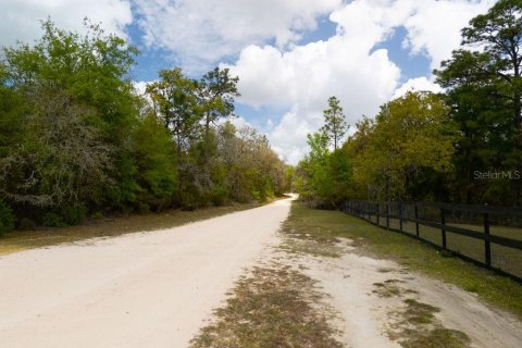 Land in Bronson, Florida № 2163671 - photo 10