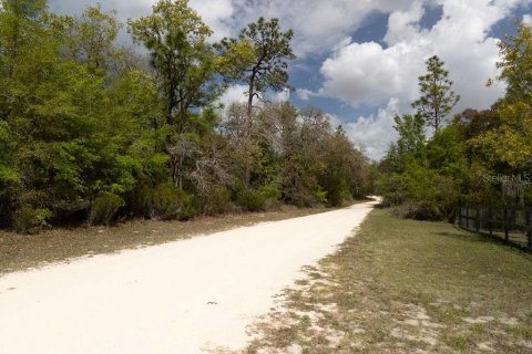 Land in Bronson, Florida № 2163671 - photo 9