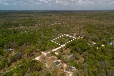 Land in Bronson, Florida № 2163671 - photo 26