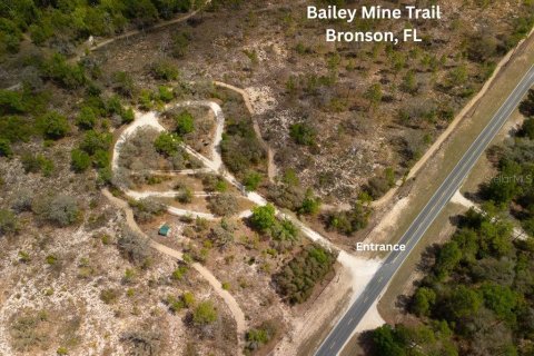 Land in Bronson, Florida № 2163671 - photo 17