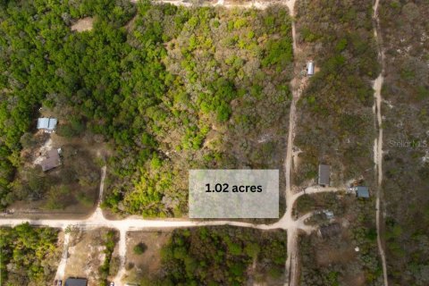 Land in Bronson, Florida № 2163671 - photo 2