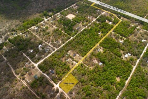 Land in Bronson, Florida № 2163671