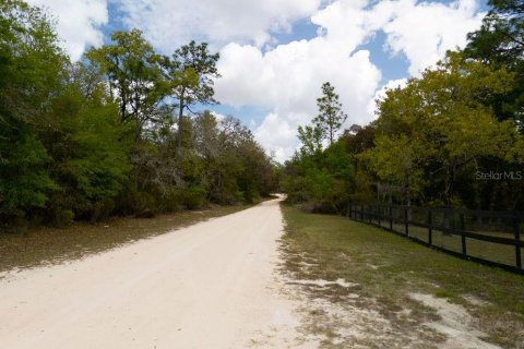 Land in Bronson, Florida № 2163671 - photo 11