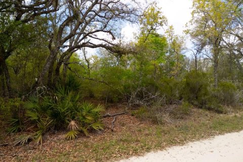 Land in Bronson, Florida № 2163671 - photo 13