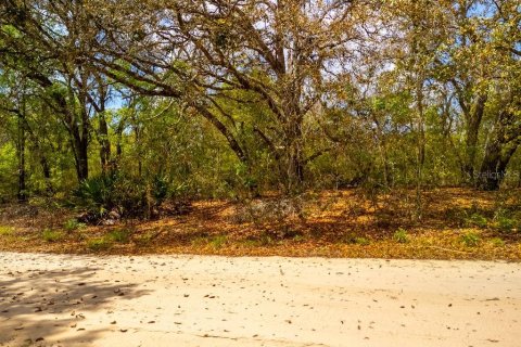 Land in Bronson, Florida № 2163671 - photo 6