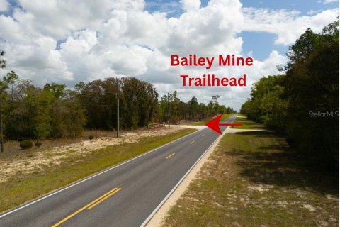 Land in Bronson, Florida № 2163671 - photo 16