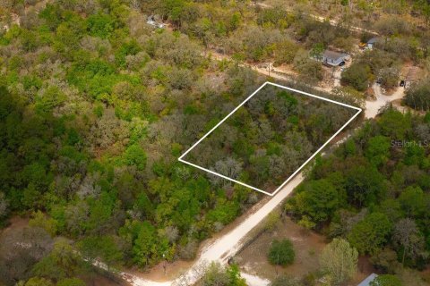Land in Bronson, Florida № 2163671 - photo 24