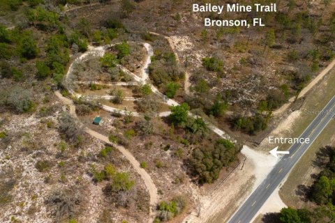 Land in Bronson, Florida № 2163671 - photo 18