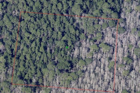 Land in De Leon Springs, Florida № 2163486