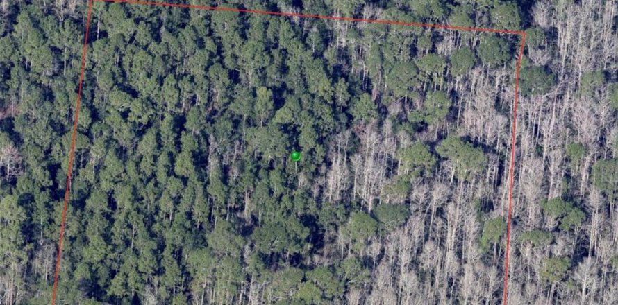 Land in De Leon Springs, Florida № 2163486