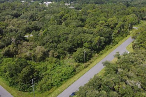 Land in Port Charlotte, Florida № 2165245 - photo 30