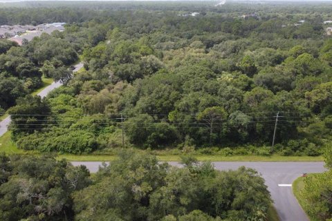 Land in Port Charlotte, Florida № 2165245 - photo 18