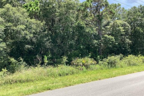 Land in Port Charlotte, Florida № 2165245 - photo 14