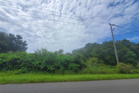 Land in Port Charlotte, Florida № 2165245 - photo 15