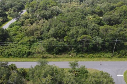 Land in Port Charlotte, Florida № 2165245 - photo 17