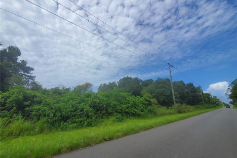 Land in Port Charlotte, Florida № 2165245 - photo 3