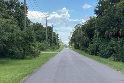 Land in Port Charlotte, Florida № 2165245 - photo 13