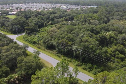 Land in Port Charlotte, Florida № 2165245 - photo 19