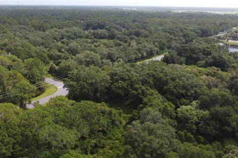 Land in Port Charlotte, Florida № 2165245 - photo 22